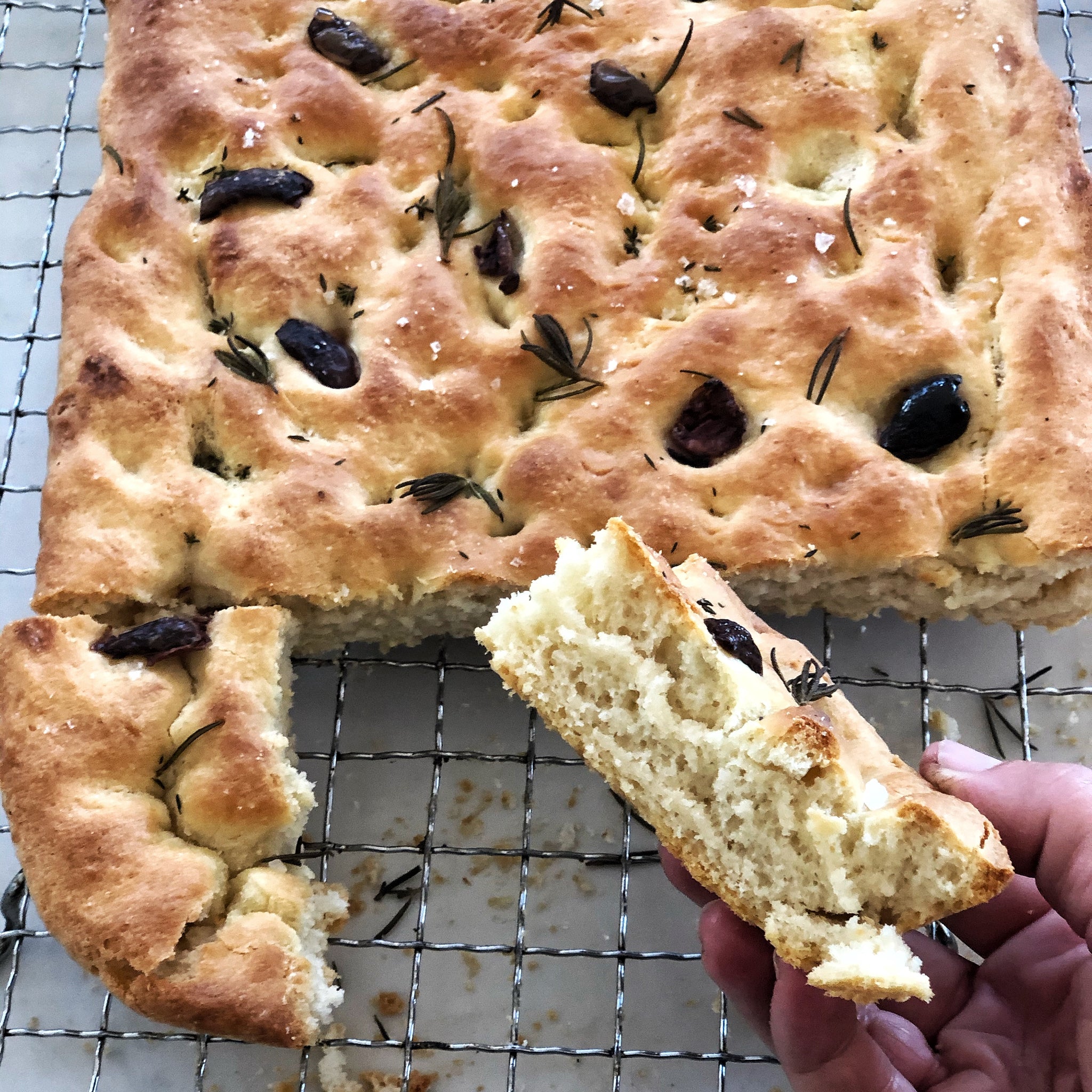 Rosemary Olive Focaccia