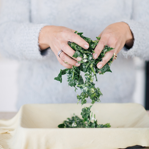 Let's Cook - Traditional Greek Spanakopita